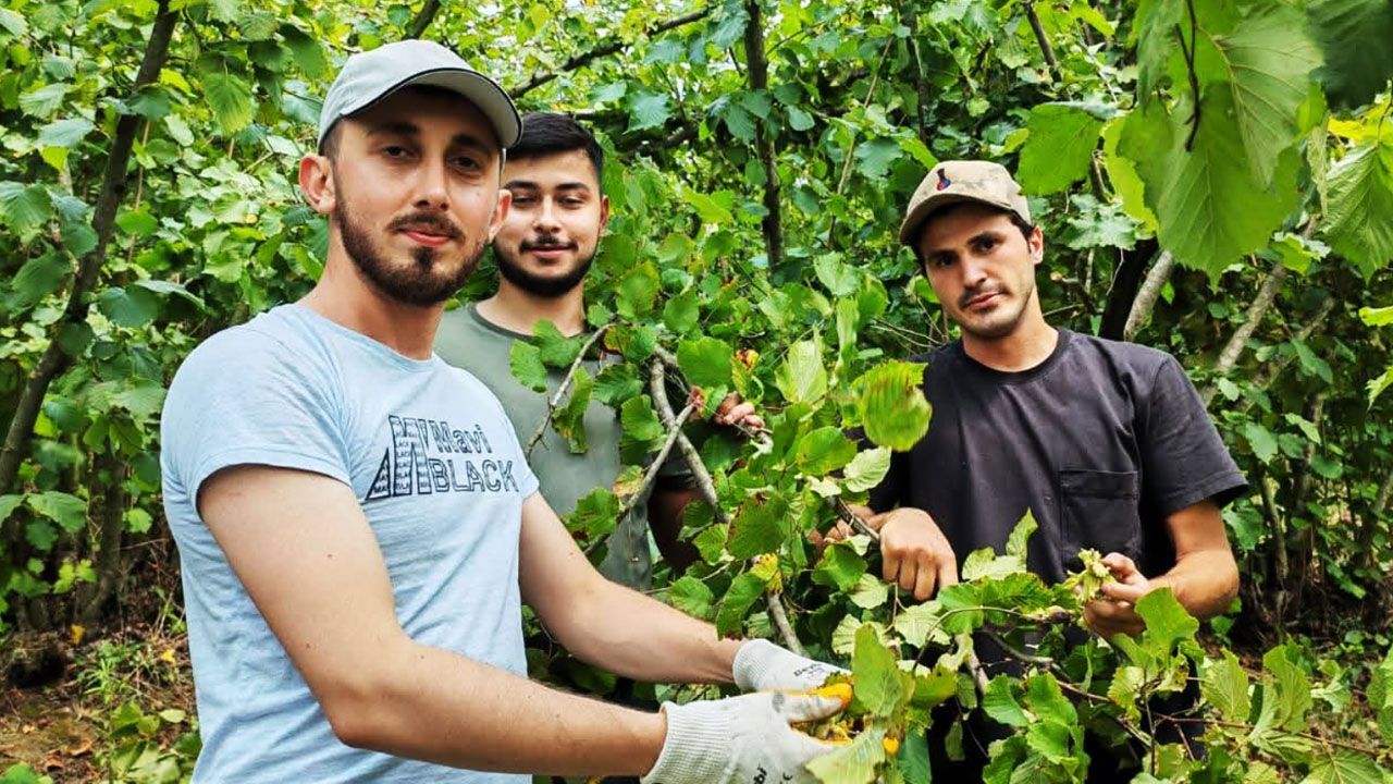 Din görevlileri Kur'an Kursu için fındık topladı